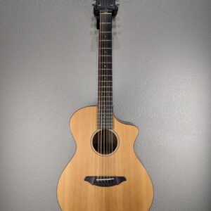 Breedlove Passport C250/SME-12 Acoustic Guitar