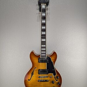 2023 D'angelico Premier Mini DC Electric Guitar