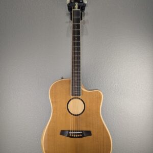 2024 LR Baggs AEG-1 Acoustic Electric Guitar