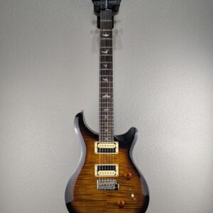 2021 PRS SE Custom 24 Zebrawood Guitar