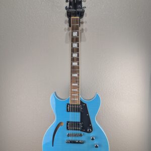 2018 Reverend Manta Ray Guitar