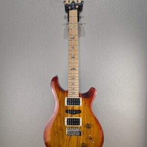 2024 PRS SE Swamp Ash Special Guitar