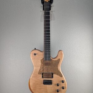 Delaney T-Style Zac Brown Collection Electric Guitar